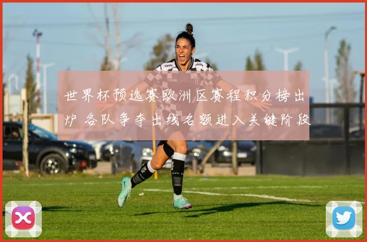 世界杯预选赛欧洲区赛程积分榜出炉 各队争夺出线名额进入关键阶段