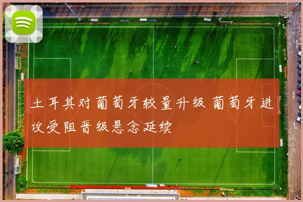 土耳其对葡萄牙较量升级 葡萄牙进攻受阻晋级悬念延续
