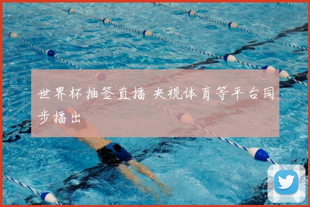 世界杯抽签直播 央视体育等平台同步播出