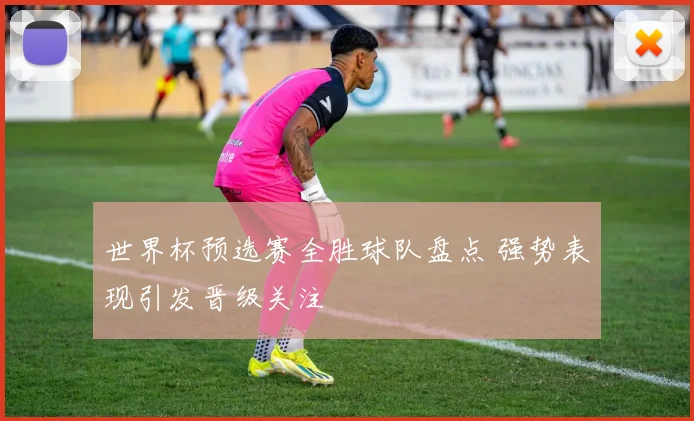 世界杯预选赛全胜球队盘点 强势表现引发晋级关注