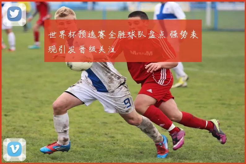 世界杯预选赛全胜球队盘点 强势表现引发晋级关注