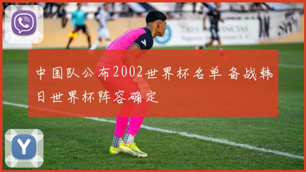 中国队公布2002世界杯名单 备战韩日世界杯阵容确定