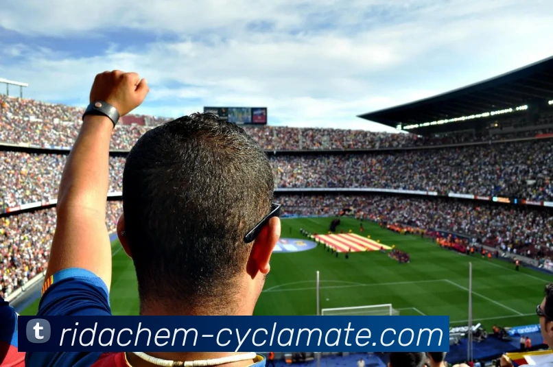 ayx平台官网入口APP 体育赛事宣传图