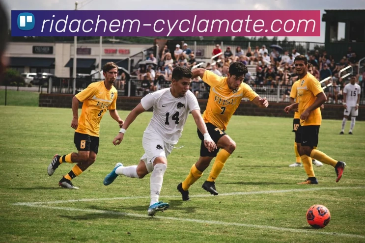 AI Risk Control